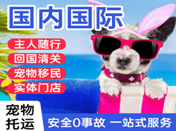 襄阳刘集机场快运国际宠物托运 【国